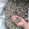 Kora Kamienna szaro-brązowa gnejsowa 8-16 mm kamień naturalny gnejs do ogrodu 1000 kg TONA