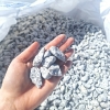 Grys granitowy strzegomski 16-22 mm dalmatyńczyk kamień naturalny do ogrodu 1000 kg TONA