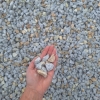 Granit 16-22 mm grys granitowy dalmatyńczyk kamień naturalny do ogrodu 1000 kg TONA