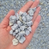 Granit 8-16 mm grys granitowy dalmatyńczyk kamień naturalny do ogrodu 1000 kg TONA
