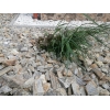 Kora Kamienna Gnejsowa 16-32 mm kamień naturalny gnejs do ogrodu 1000 kg TONA