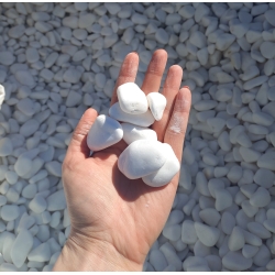 Otoczak śnieżnobiały grecki Thassos 1-3 cm nowoczesny kamień do ogrodu 1000 kg TONA
