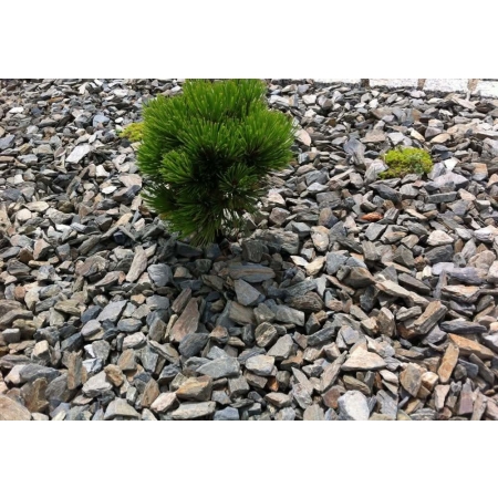 Kora kamienna łupkowa łupek szarogłazowy księżycowy 20-40 mm kamień ogrodowy 1000 kg TONA